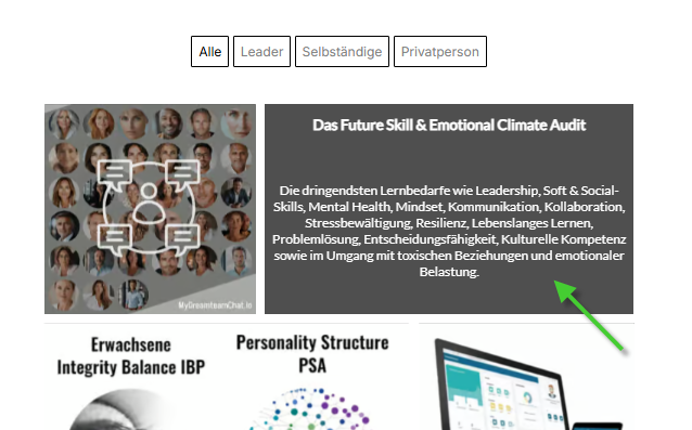 Text über Future Skill und Emotional Climate Audit mit verschiedenen Schlüsselbegriffen im Bereich Leadership und persönliche Entwicklung.