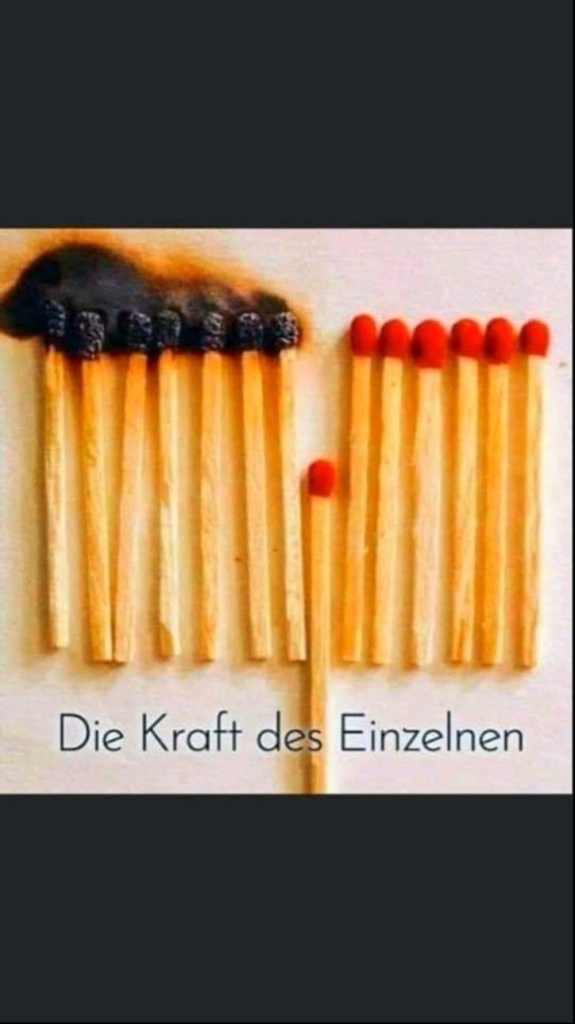 Eine Anordnung von Streichhölzern, wobei einige verbrannt sind und der Text 'Die Kraft des Einzelnen' darunter steht zum Umgang mit Wut.